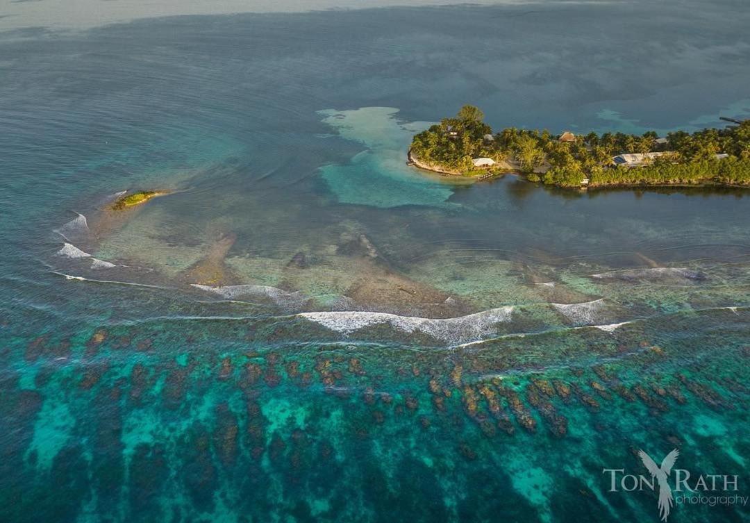 Pelican Beach Resort South Water Caye Дангрига Экстерьер фото
